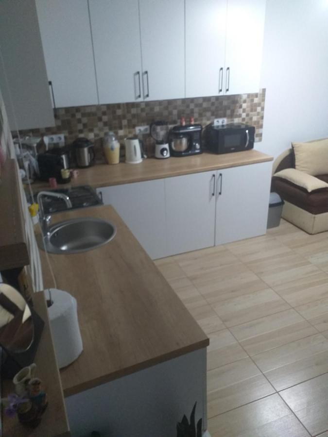 Fully Furnished Studio Sighetu Marmaţiei Exterior foto