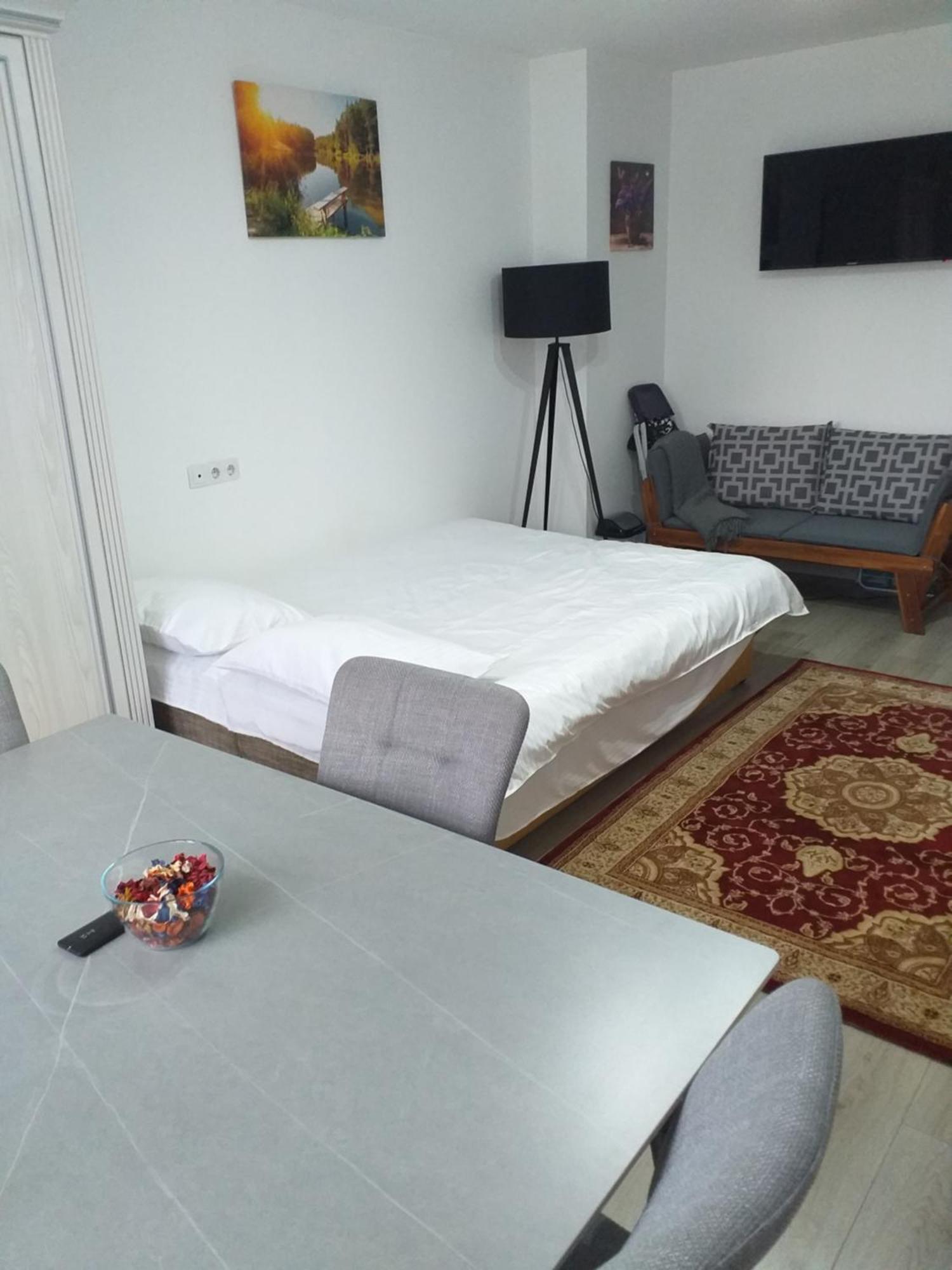 Fully Furnished Studio Sighetu Marmaţiei Exterior foto